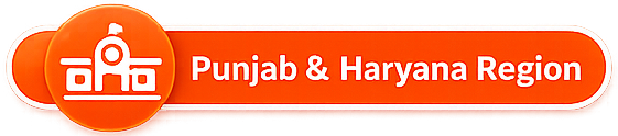 icons copy